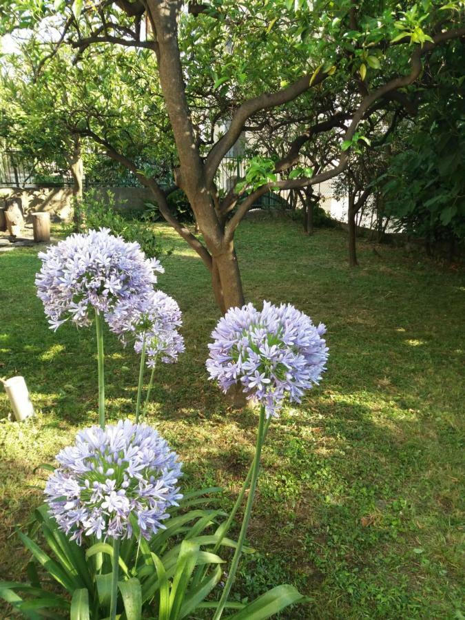 Vila Skala Herceg Novi Exterior foto
